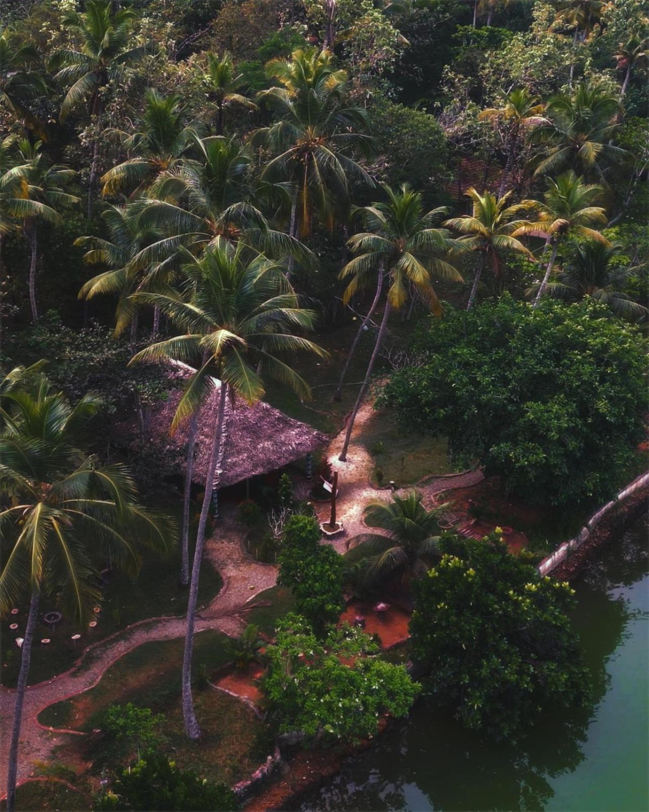 Vishram Village Varkala Eksteriør bilde